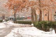 Ամանորյա տրամադրություն ԵՊՀ-ում